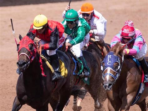 Preakness Stakes 2021 horses, contenders, date, predictions .